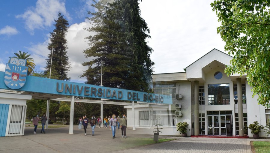 Contraloría advierte deficiente gestión de la U. del Bío-Bío para recuperar más de $4 mil millones en becas docentes