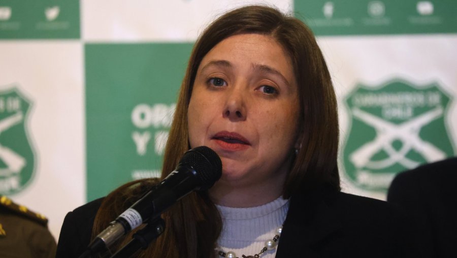 Gobierno responde a exministra Vallejo tras acusar "una gran estafa" en seguridad: "No tiene evidencia"