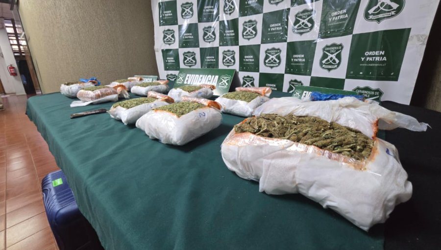 Incautan casi 8 kilos de marihuana durante control carretero en ruta 5 Norte de Nogales