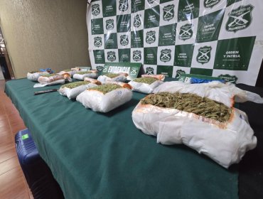 Incautan casi 8 kilos de marihuana durante control carretero en ruta 5 Norte de Nogales