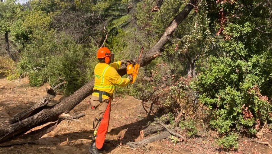 Conaf extiende el cierre preventivo de tres áreas protegidas de la región de Valparaíso