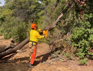 Conaf extiende el cierre preventivo de tres áreas protegidas de la región de Valparaíso