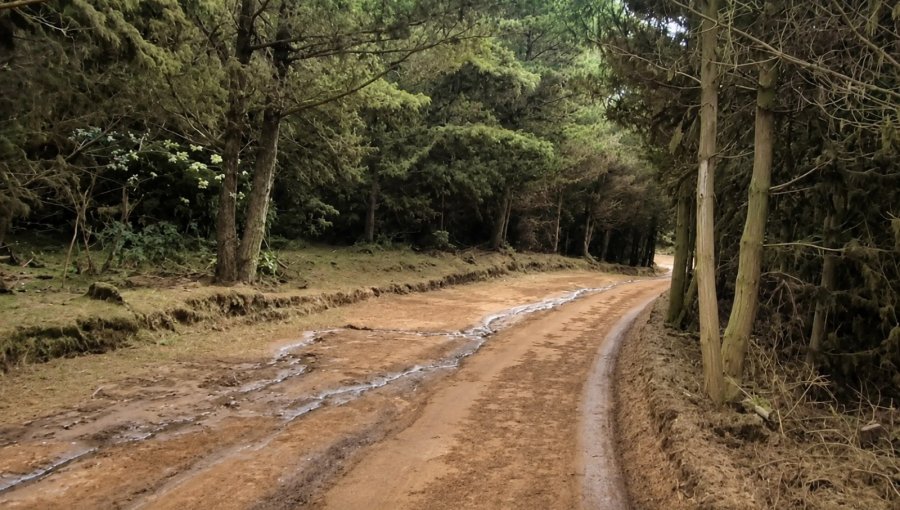 "La situación es gravísima": vecino de Laguna Verde detalla las complejidades que enfrentan tras los sistemas frontales
