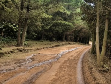 "La situación es gravísima": vecino de Laguna Verde detalla las complejidades que enfrentan tras los sistemas frontales