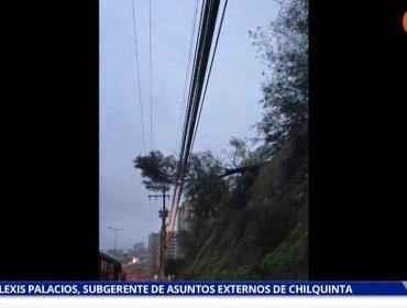 Subgerente de Chilquinta explica que masivo corte de luz en Quilpué se debe a "caída de un árbol de grandes dimensiones en Villa Hermosa"