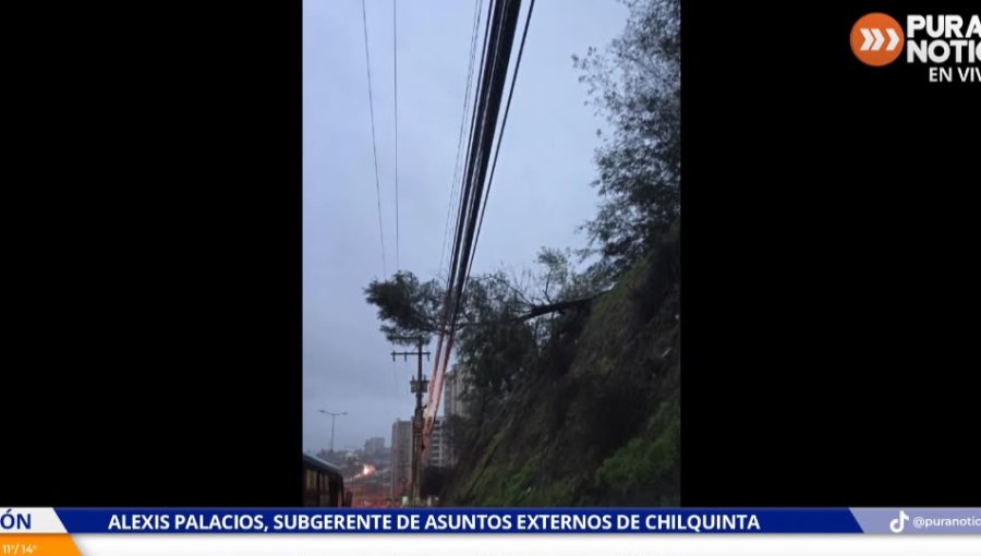 Subgerente de Chilquinta explica que masivo corte de luz en Quilpué se debe a "caída de un árbol de grandes dimensiones en Villa Hermosa"