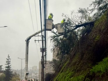 Quilpué concentra la mayor emergencia eléctrica de la región: alcaldesa emplaza a Chilquinta y empresa explica origen del corte