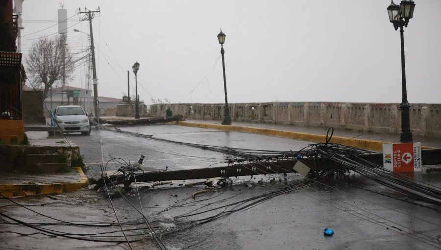Cinco postes caen en bloque tras choque de vehículo en el cerro Barón de Valparaíso