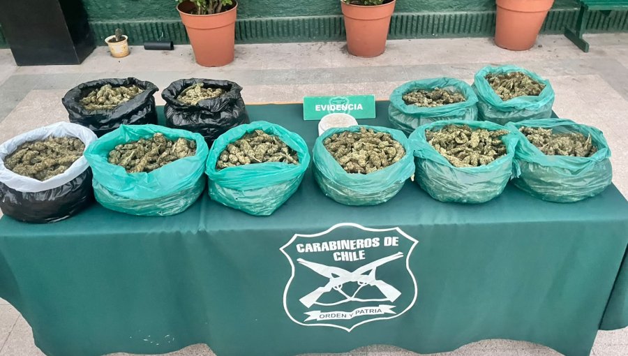 Detienen a hombre que fue sorprendido con 10 sacos de marihuana en su domicilio en Quilicura