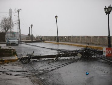 Cinco postes caen en bloque tras choque de vehículo en el cerro Barón de Valparaíso