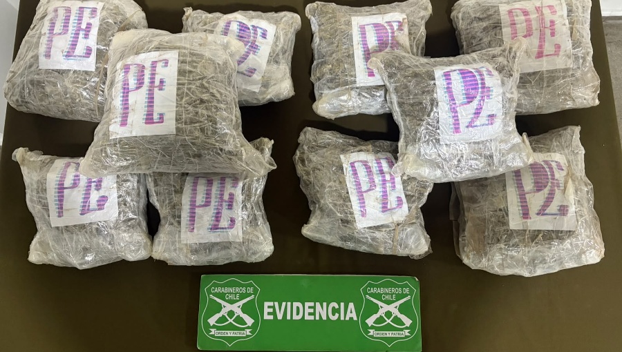Tres sujetos fueron detenidos por tráfico de drogas en San Bernardo: Incautaron más de 10 kilos de marihuana