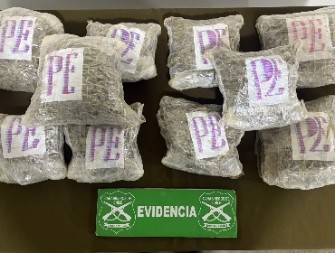 Tres sujetos fueron detenidos por tráfico de drogas en San Bernardo: Incautaron más de 10 kilos de marihuana