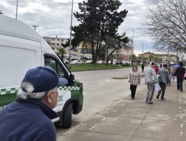 Operativo policial permite despejar la feria Caupolicán de Viña del Mar: un detenido y tres autos fueron retirados de circulación