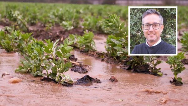 Indap Valparaíso reporta que entre 600 y 700 productores agrícolas resultados afectados con temporales en la V región