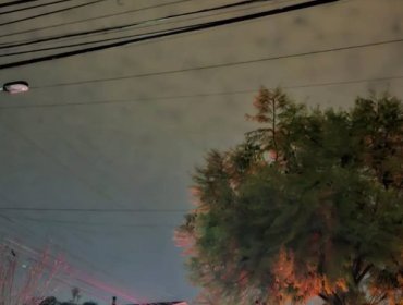 Corte de luz afecta al sector de Cerro Castillo de Viña del Mar en medio de reunión de Kast con la bancada UDI en el Palacio Presidencial