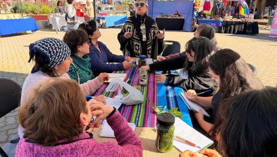 Quilpué realizó su primera Feria de Salud Intercultural para acercar la medicina ancestral a la comunidad
