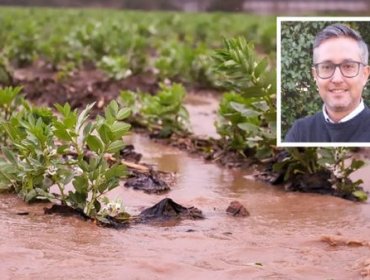 Indap Valparaíso reporta que entre 600 y 700 productores agrícolas resultados afectados con temporales en la V región