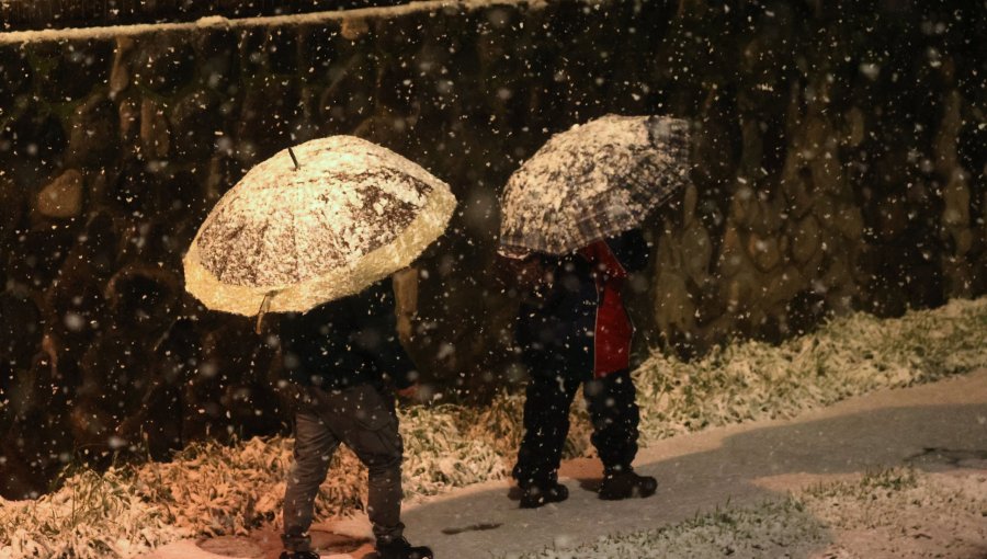 Declaran Alerta Temprana Preventiva para ocho comunas de la región de Los Ríos ante pronóstico de nevadas