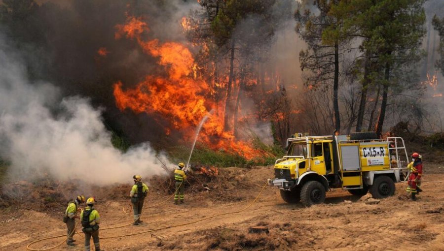 Más de 400 personas han sido detenidas por su supuesta implicación en alguno de los 14 mil incendios que se han registrado en Francia
