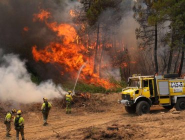 Más de 400 personas han sido detenidas por su supuesta implicación en alguno de los 14 mil incendios que se han registrado en Francia