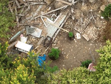 Contraloría pide explicaciones a la Municipalidad de La Cruz por caso de plantas de marihuana detectadas por funcionario