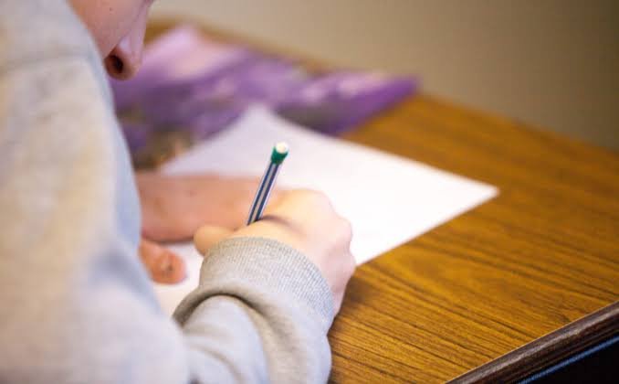 «No más notas»: Proyecto que complementa el sistema de evaluación en educación básica será debatido en Comisión Mixta