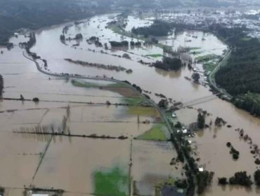 Declaran emergencia agrícola en La Araucanía por daños ocasionados por el sistema frontal