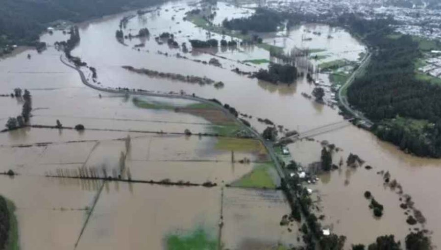 Declaran emergencia agrícola en La Araucanía por daños ocasionados por el sistema frontal