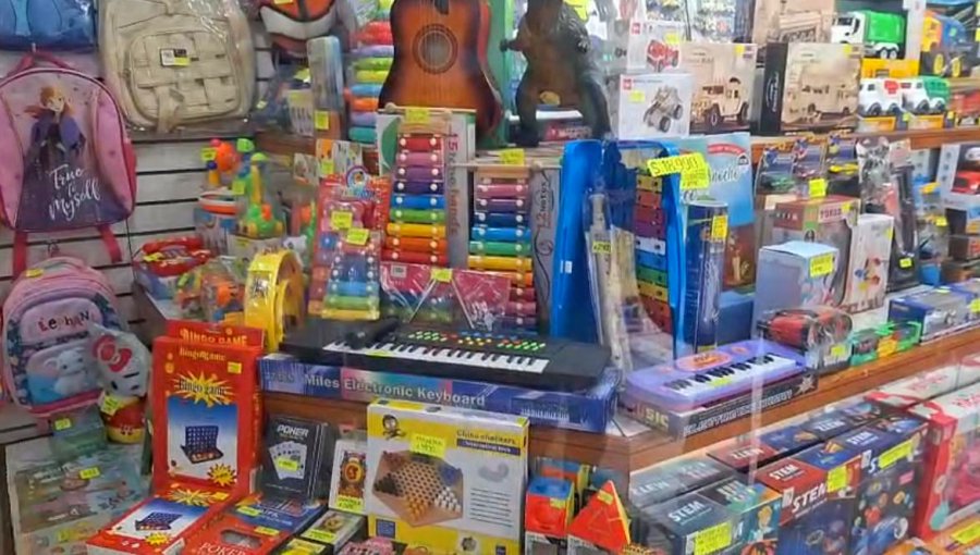 Seremi de Salud de Valparaíso fiscaliza juguetería para promover compras seguras por el Día del Niño