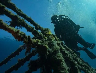 Cómo los buques varados en Ormuz pueden desencadenar una "superpropagación" de especies marinas invasoras