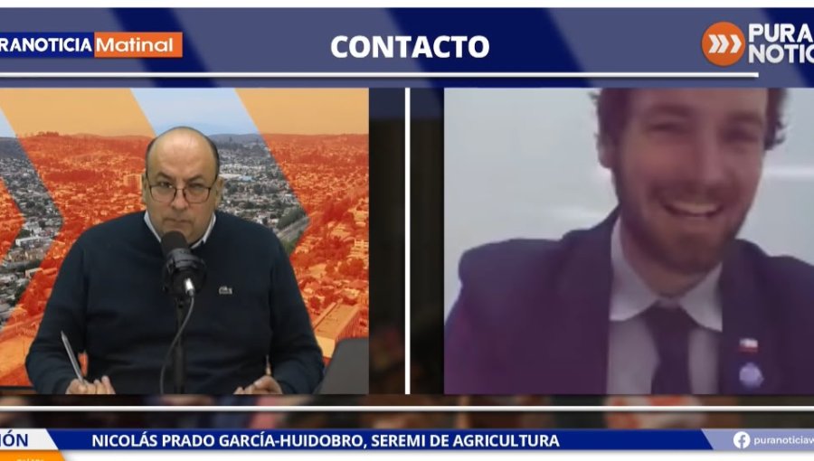 Seremi de Agricultura y polémica por recursos para forraje a ganaderos: "El Cogrid es para vidas y se hizo la excepción a vidas de animales"