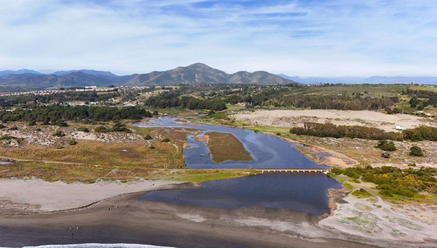 Comité Regional de Humedales de Valparaíso aprueba hoja de ruta para fortalecer protección de ecosistemas urbanos