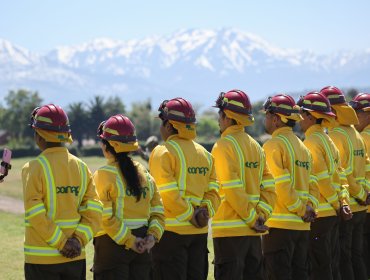 Conaf abre postulaciones para labores de combate de incendios forestales: son más de 3 mil cupos