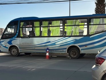 Conductor de microbús fue detenido tras dar positivo a marihuana en operativo de senda y carabineros en Algarrobo