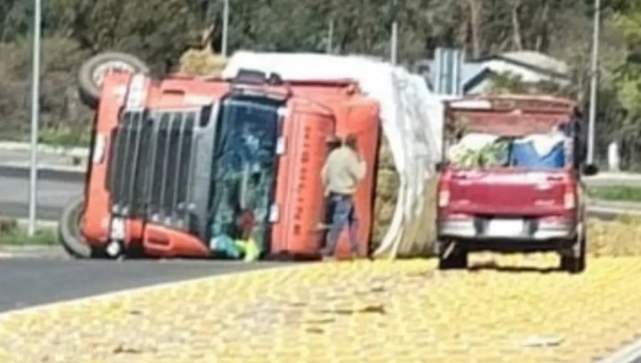 Camión terminó volcado junto a su carga en medio de la Ruta Lo Orozco en Quilpué