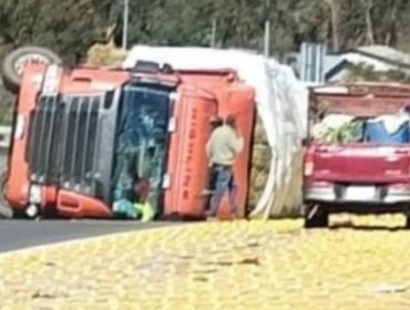 Camión terminó volcado junto a su carga en medio de la Ruta Lo Orozco en Quilpué