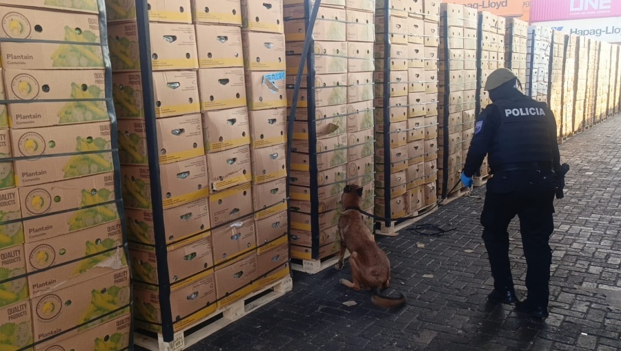 Descubren más de una tonelada de cocaína en cajas de frutas en Ecuador con destino a España
