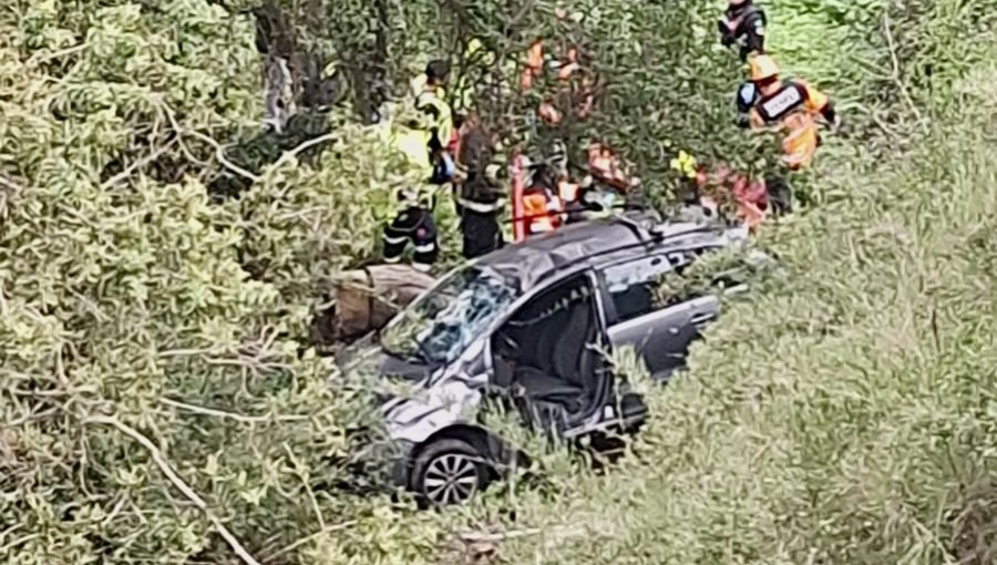 Grave accidente en Viña del Mar: automóvil desbarranca cerca de 40 metros en Forestal
