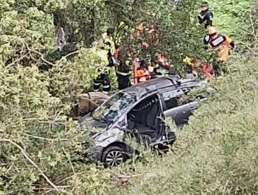 Grave accidente en Viña del Mar: automóvil desbarranca cerca de 40 metros en Forestal