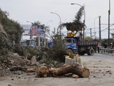 Este martes continuará el cierre de la Av. España en dirección a Viña del Mar por trabajos tras desprendimientos de material