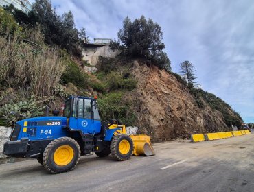 Av. España bajo amenaza: árbol en riesgo y nueva alerta de Sernageomin encienden las alertas de cara a su reapertura a Viña del Mar