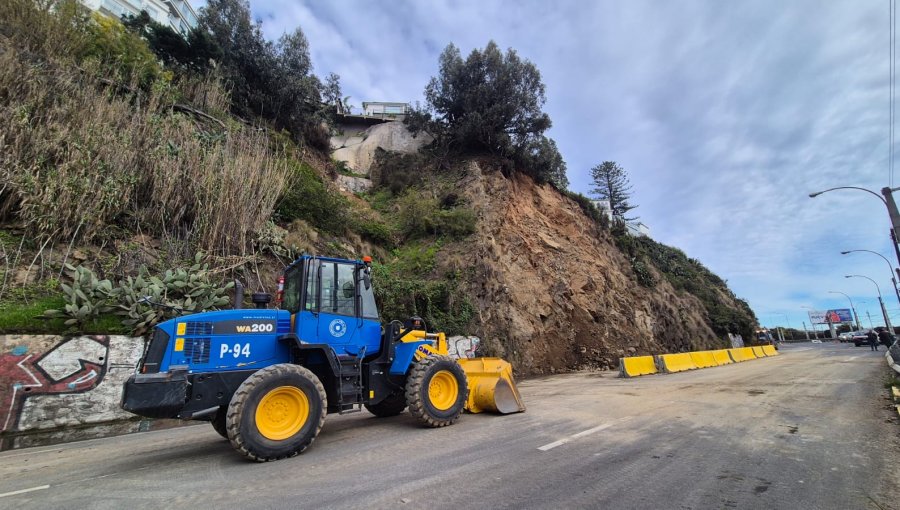 Av. España bajo amenaza: árbol en riesgo y nueva alerta de Sernageomin encienden las alertas de cara a su reapertura a Viña del Mar