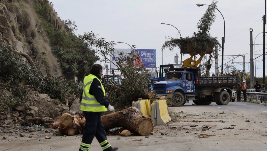 ¿Viaja entre Valparaíso y Viña del Mar? Conozca los cortes y desvíos de tránsito debido a las restricciones en la avenida España