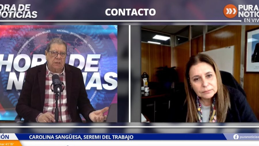 Seremi del Trabajo por prevención del hantavirus en espacios laborales: “Los empleadores tienen la obligación que se tomen las medidas de prevención que ha decretado el Minsal”
