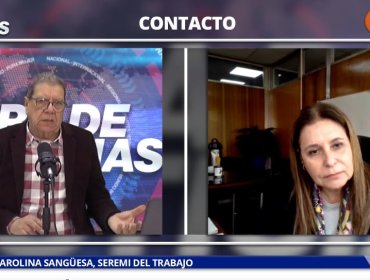 Seremi del Trabajo por prevención del hantavirus en espacios laborales: “Los empleadores tienen la obligación que se tomen las medidas de prevención que ha decretado el Minsal”