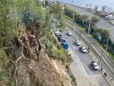La verdadera historia tras el derrumbe de avenida España: informe de Sernageomin fue clave para prolongar cierre hacia Viña del Mar