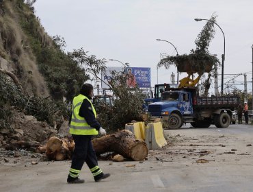 Avenida España reabrirá a las 17:00 horas una pista en dirección a Viña del Mar