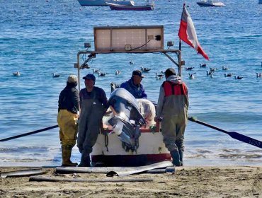 Crisis de la pesca artesanal en Papudo: 85 trabajadores solo pudieron salir tres días al mar en julio y piden apoyo al Gore
