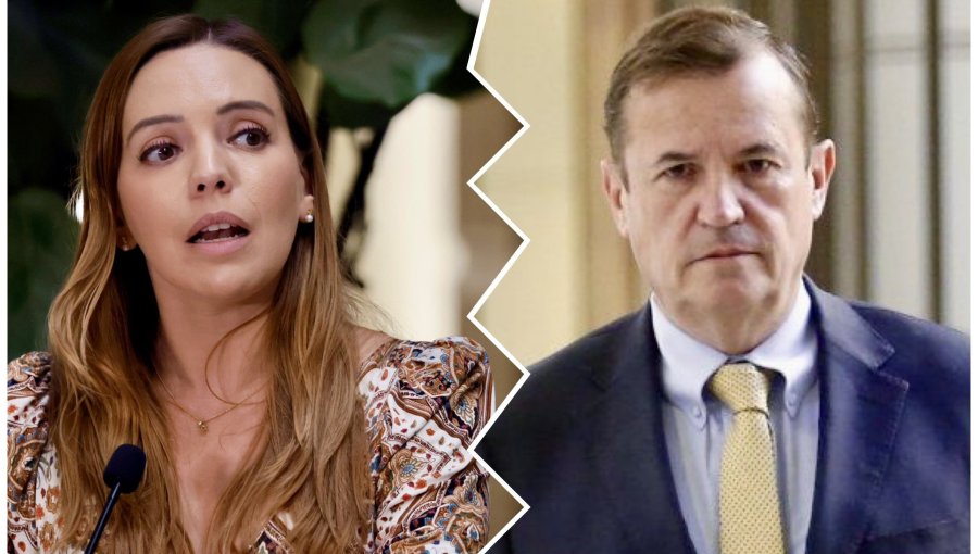 Senadora Flores acusa exclusión del Ministro de Agricultura y apunta al diputado Pardo: "La agenda fue coordinada y hecha con él"
