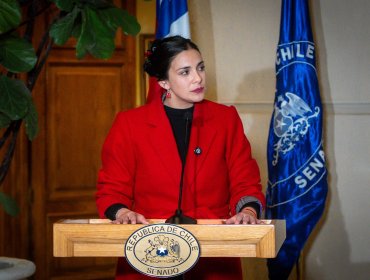 Senadora Cariola califica de "buena noticia" que el TC acogiera parte de requerimientos de la oposición contra la megarreforma